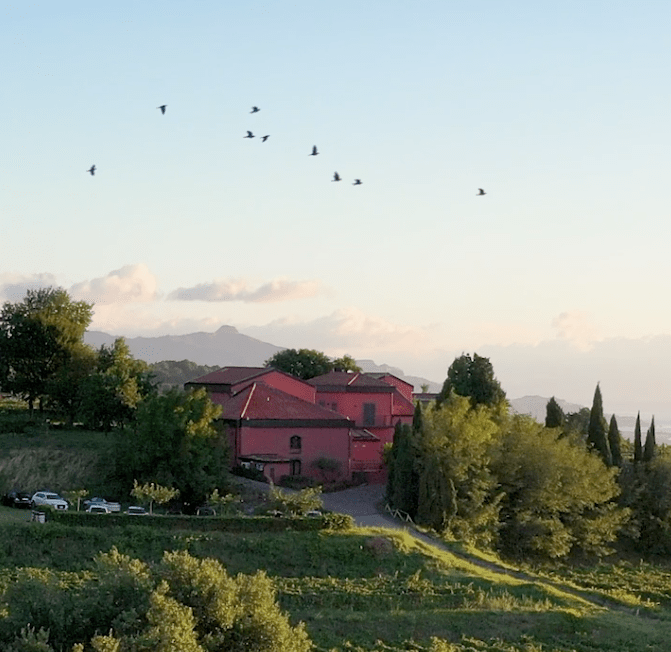 Tenuta San Michele Etna Farmhouse | Murgo Winery 1860