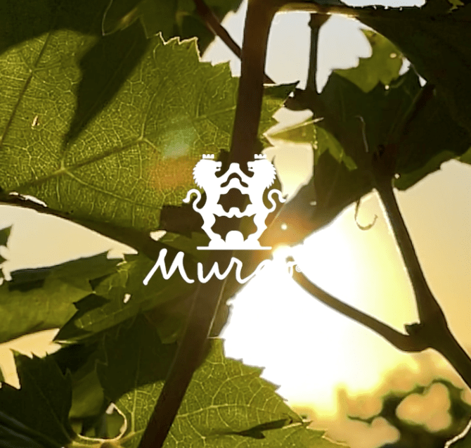 Tenuta San Michele Etna Est | Cantine Murgo